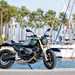 2024 BMW R12 nineT at a marina on side stand