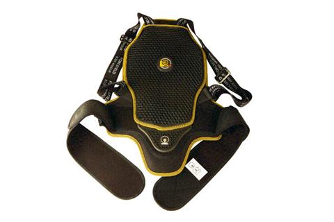 Forcefield Pro L2K back protector