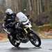 2024 Triumph Tiger 1200 Rally Pro and Explorer picture of the bike entering a right hand bend