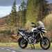 2024 Triumph Tiger 1200 Rally Pro and Explorer side on photo with a forest backdrop