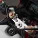 2024 Yamaha XSR900 GP top view shot of handlebars, dash, and suspension settings