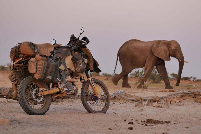 The Adventure Spec Magadan MK3 panniers, pictured in use in Africa, with an elephant in the background