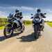 2024 BMW F900GSA and 2024 Triumph Tiger 900 Rally Pro - riding side by side