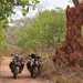 Honda CG125s parked next to a large ant hill