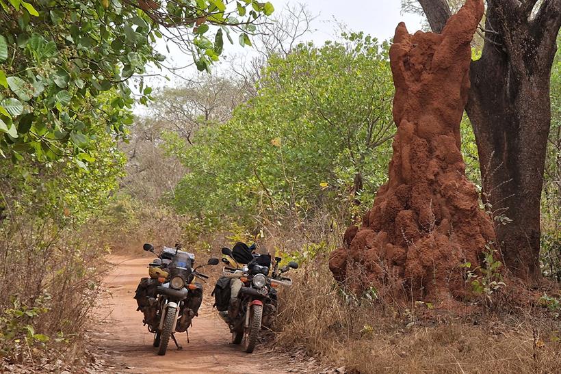 Honda CG125s parked next to a large ant hill
