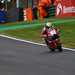 Tommy Bridewell onboard the Honda Racing UK Fireblade at Cadwell Park