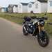 Triumph Scrambler 400 X with beach huts