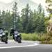 Kawasaki Ninja 1100SX models riding together