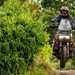 Justin Hayzelden riding a greenlane, jumping over a bridge next to a hedge