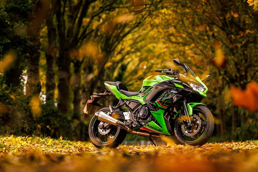 Kawasaki motorcycle in the woods with autumn leaves