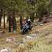 2024-on BMW R1300GS Adventure on a rocky trail