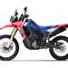 Honda CRF300 Rally side