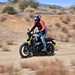 2025-on Royal Enfield Bear 650 stood up on a dirt track