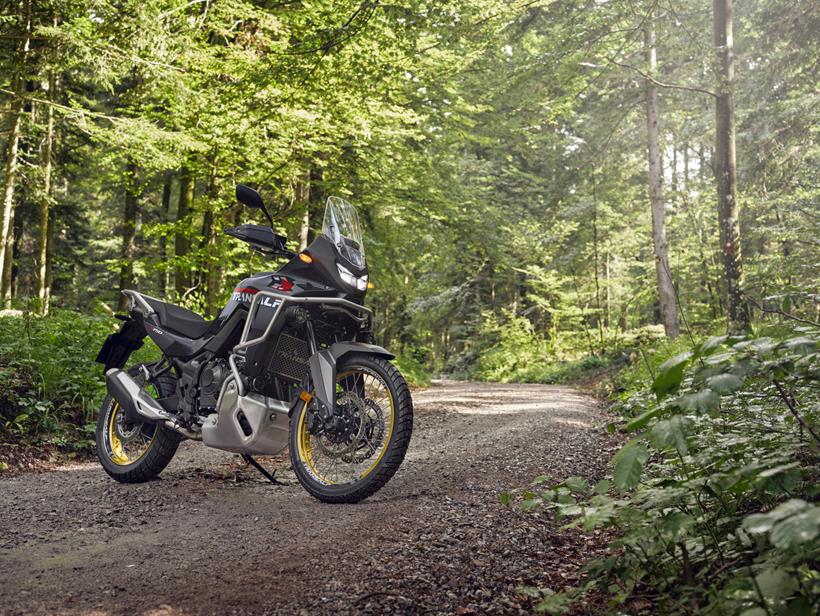 2025 Honda XL750 Transalp parked in a woodland