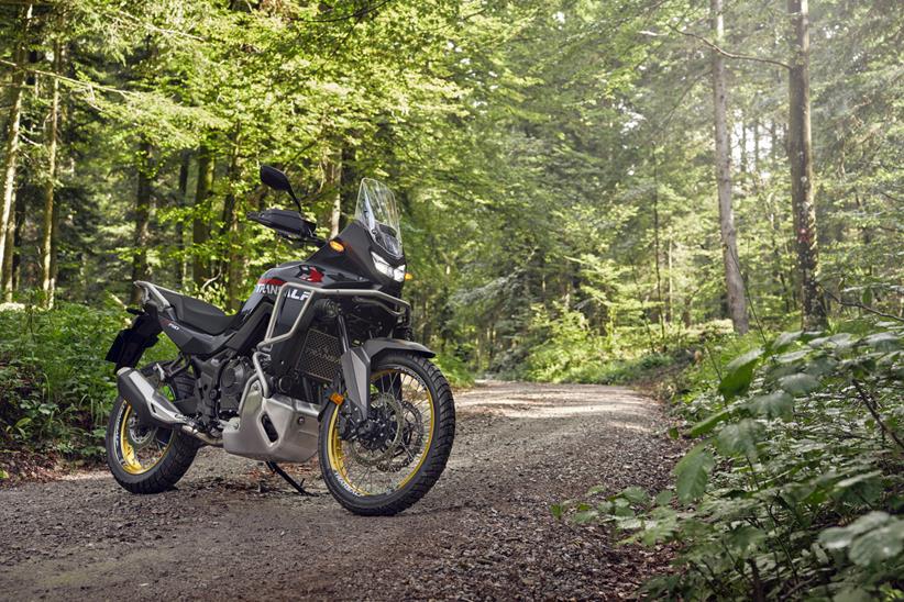 2025 Honda XL750 Transalp parked in a woodland