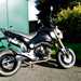 Honda MS X125