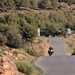 2025-on Honda NT1100 riding towards the camera down a windy road