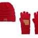 Harley Davidson beanie and gloves set