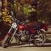 Kawasaki Zephyr 550 motorcycle review - Side view