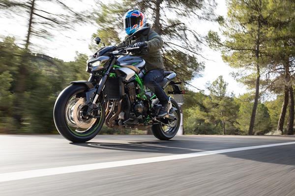 2025-on Kawasaki Z900 riding down a tree lined road