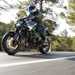 2025-on Kawasaki Z900 riding down a tree lined road