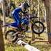 2025 Yamaha WR250F ridden over log