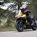 2025-on Triumph Tiger Sport 800 riding through a forest