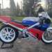 1988 Honda VFR750R RC30 for auction