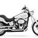 Harley-Davidson FXSTD Softail Deuce motorcycle review - Side view
