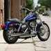 Harley-Davidson FXDLI Dyna Low Rider motorcycle review - Side view