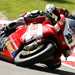 Troy Bayliss tops qualifying after practice two