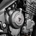 2025 Triumph Speed Triple 1200 RX, engine close up