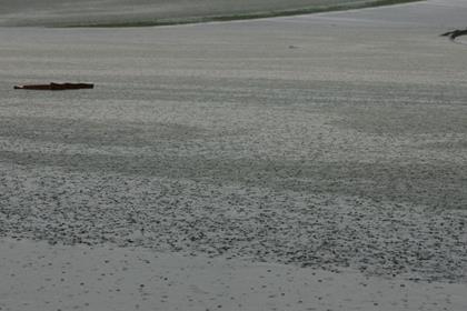 Practice for day one has been cancelled at Misano with flooding at the circuit