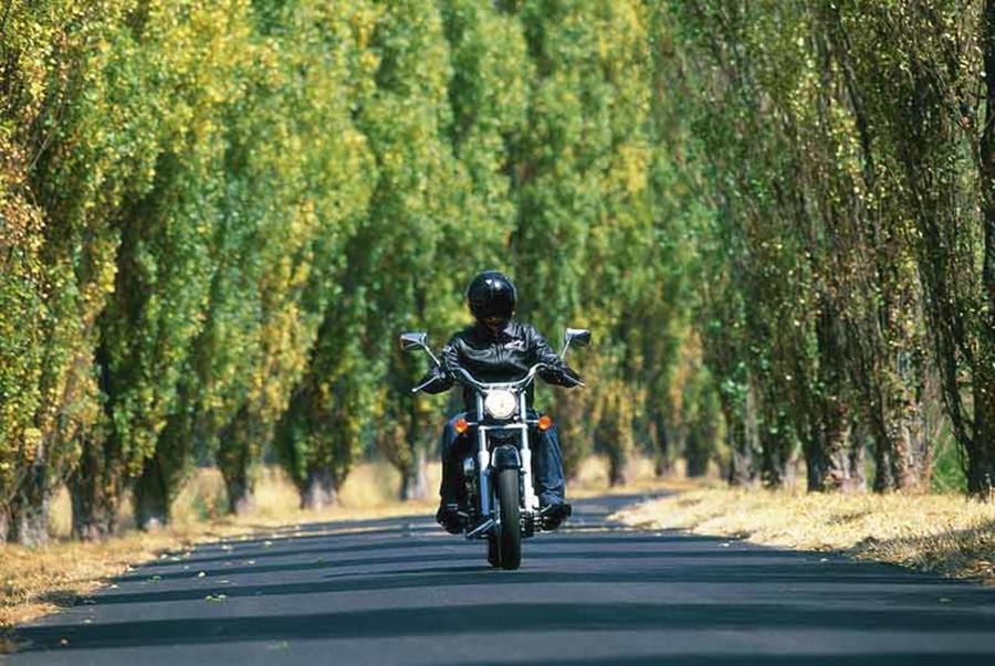 Honda Shadow 125 front-on riding shot