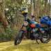Nick Sanders Royal Enfield Bear 650