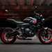 Triumph Trident 660 Triple Tribute right side view