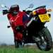 Triumph Tiger motorcycle review - Rear view