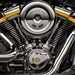 Harley-Davidson Fat Boy Gray Ghost 117 engine