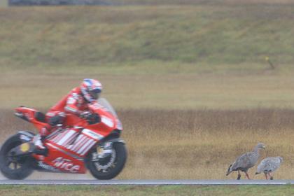 Stoner dominated in the wet and the dry