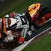 Repsol Honda's Nicky Hayden is just one rider who has given the thumbs up to the Qatar night race