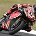 Australia's Troy Corser set the pace in the first qualifying session at Phillip Island this morning