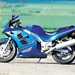 Suzuki RF600R motorcycle review - Side view