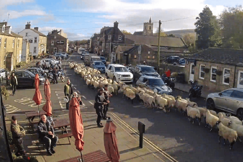 You can check real-life weather (and animal) updates via the webcam online