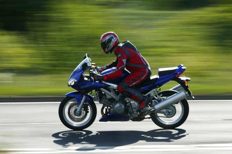 Suzuki SV1000 should prove fairly reliable