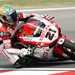 Troy Bayliss' pre weekend confidence is paying off in Misano