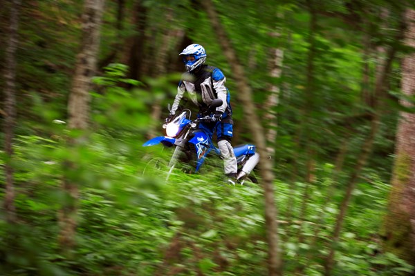 2004-2017 YAMAHA XT660R review | Speed, specs, prices