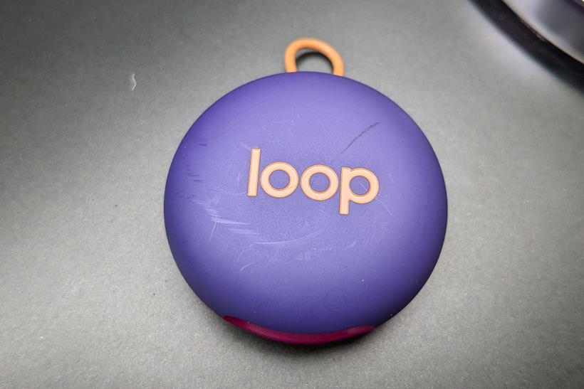 Loop carry case