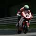 Troy Bayliss quickest in free practise before Superpole