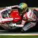 Troy Bayliss won the second race at Magny Cours