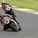 Both HM Plant Honda riders are looking for a good result at Brands Hatch